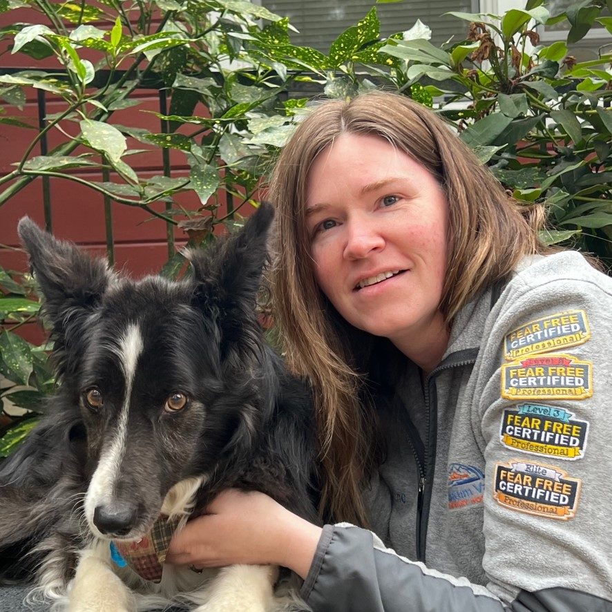 Our Staff Pet Townsend Veterinary Clinic