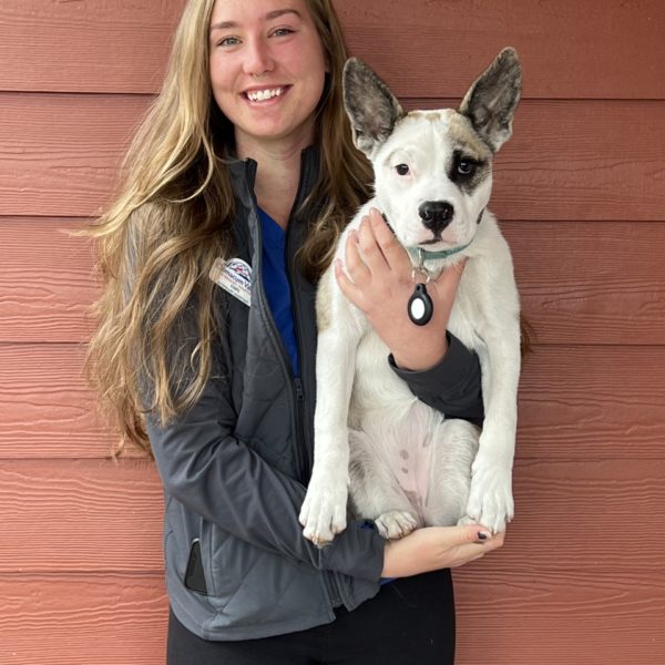 Our Staff Pet Townsend Veterinary Clinic