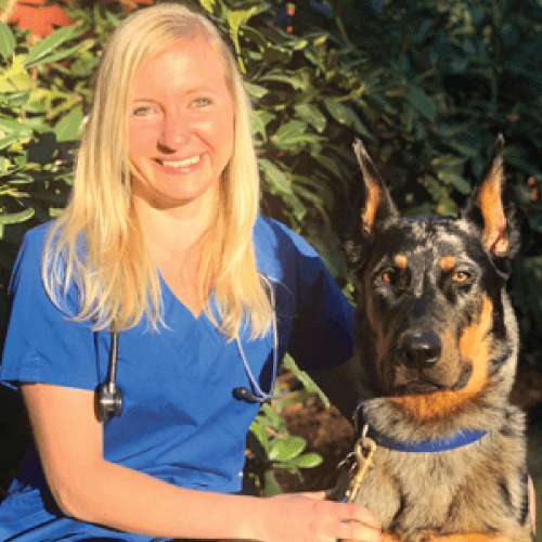 Pet Townsend Veterinary Doctors Vet in Port Townsend, WA