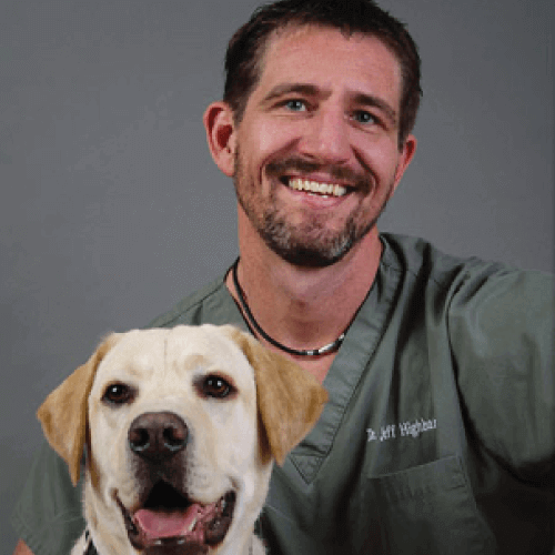 Pet Townsend Veterinary Doctors Vet in Port Townsend, WA