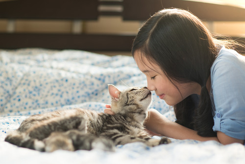 young-girl-kissing-cat