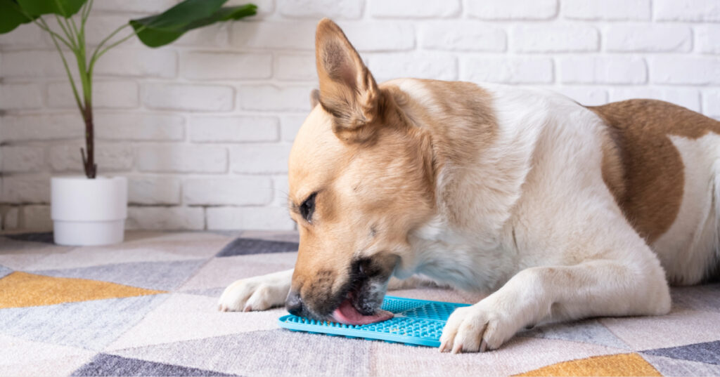 dog licking peanut butter from a lick mat on the floor